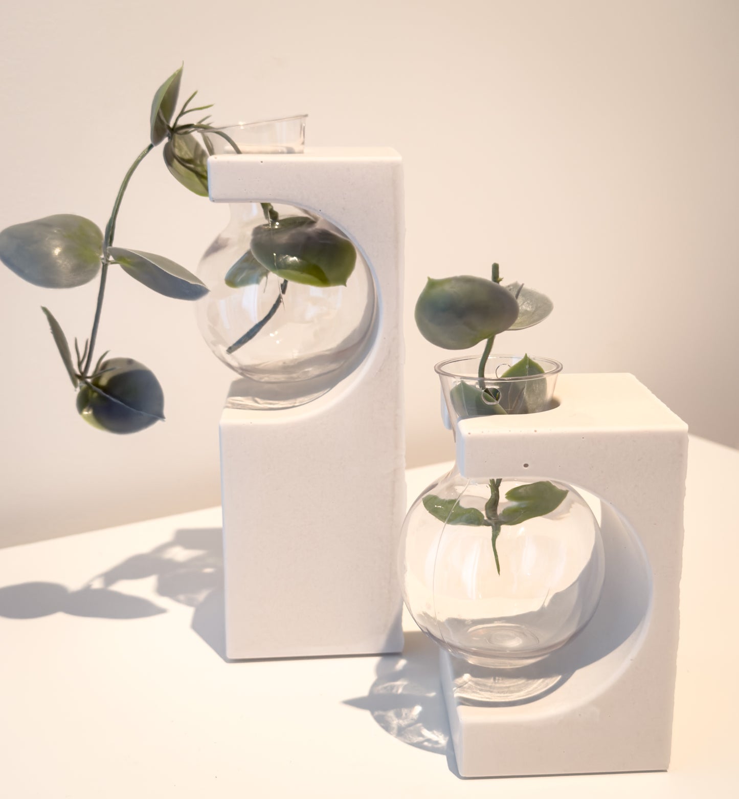 Arched Propagation Vase