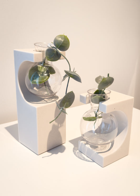 Arched Propagation Vase