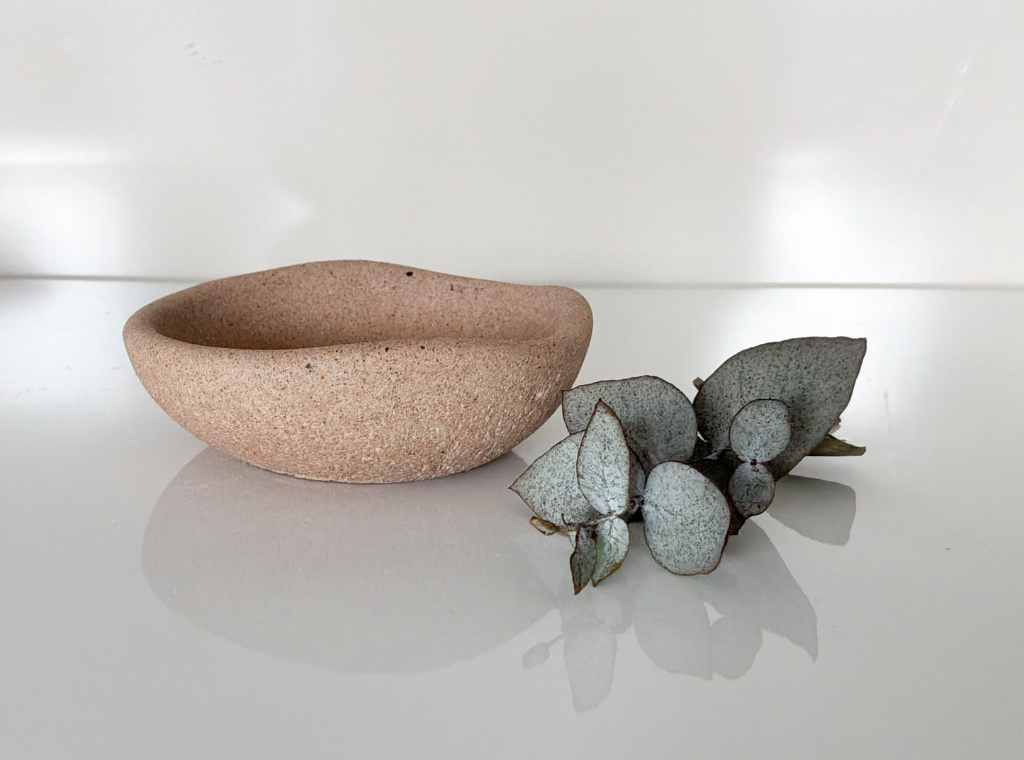 The Regent Dish